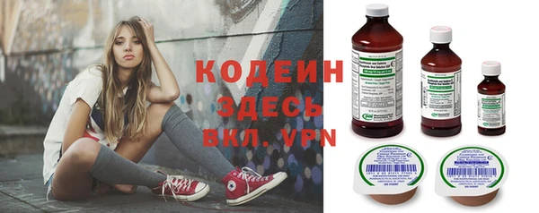 МДПВ Инта