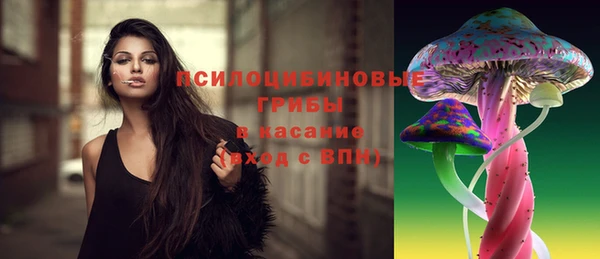 apvp Зерноград