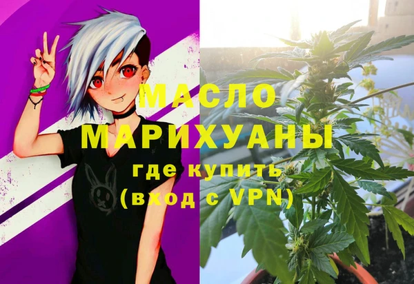 мдпв Каменногорск