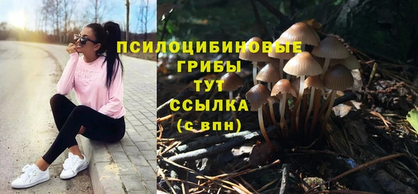 скорость Инсар