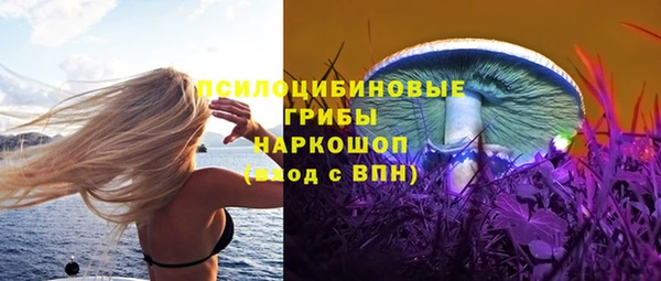 героин Каменка