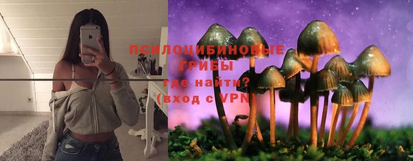 мдпв Каменногорск